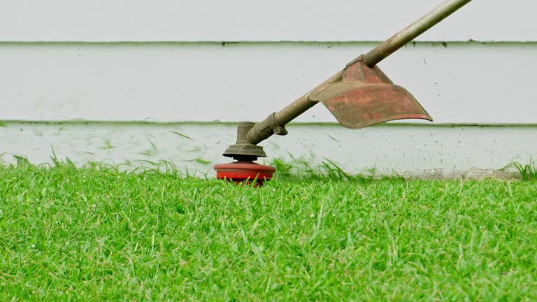 Best Lawn Maintenance Plans  in Melrose, MA